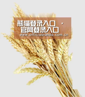 熊猫登录入口 · 官网登录入口