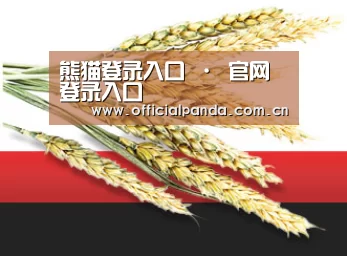 熊猫登录入口 · 官网登录入口