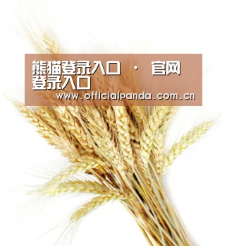 熊猫登录入口 · 官网登录入口